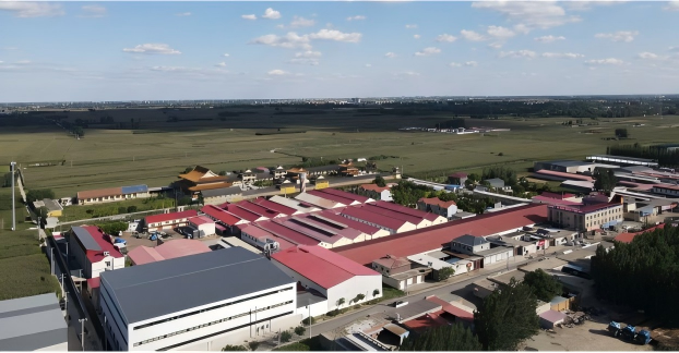 Site Layout
